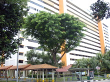 Blk 407 Pandan Gardens (Jurong East), HDB 4 Rooms #369182